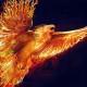 phoenix-spirit