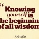 know-yourself-quotes-8
