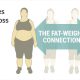 the_fat-weight_connection_650x350_promo-1